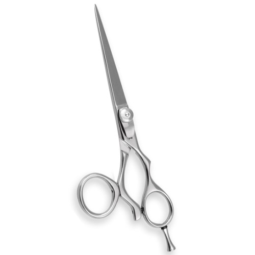 Professional Hair Cutting Scissors